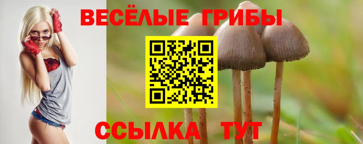 Псилоцибиновые грибы Cubensis Лосино-Петровский